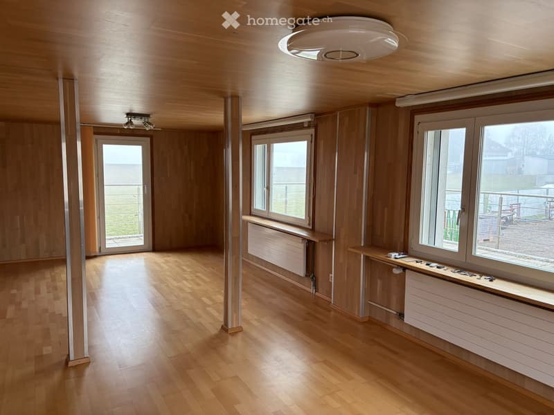empty room, wooden floor, wooden walls, two windows, two doors, ceiling lamp, radiators