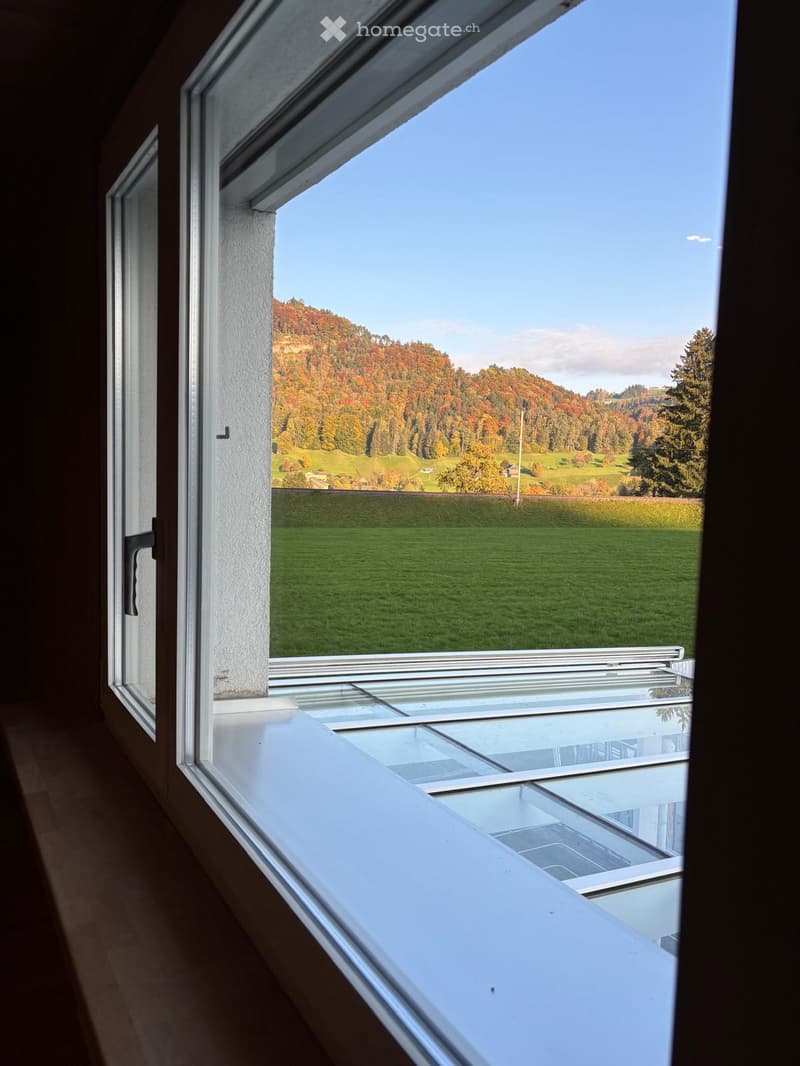 Window with a view of a green field and a mountain range in the background