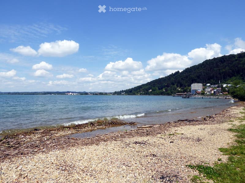 pebble beach, calm water, mountain, clear sky, buildings in the distance