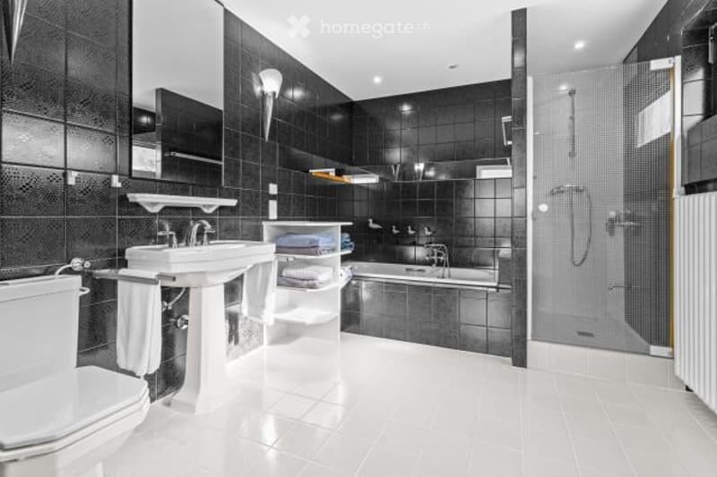 Large bathroom with black and white tiles, a vanity with a sink, a shower stall, and various bathroom accessories.