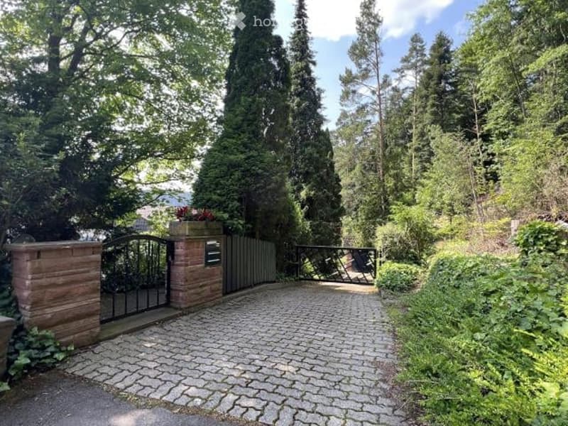 The image shows a well-maintained outdoor area with a paved walkway leading through a lush, forested environment. The walkway is made of cobblestone and there is a metal gate or entrance visible. The surrounding area is filled with tall trees and greenery