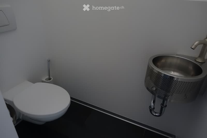 white toilet, white wall, silver sink, silver faucet, silver toilet paper holder