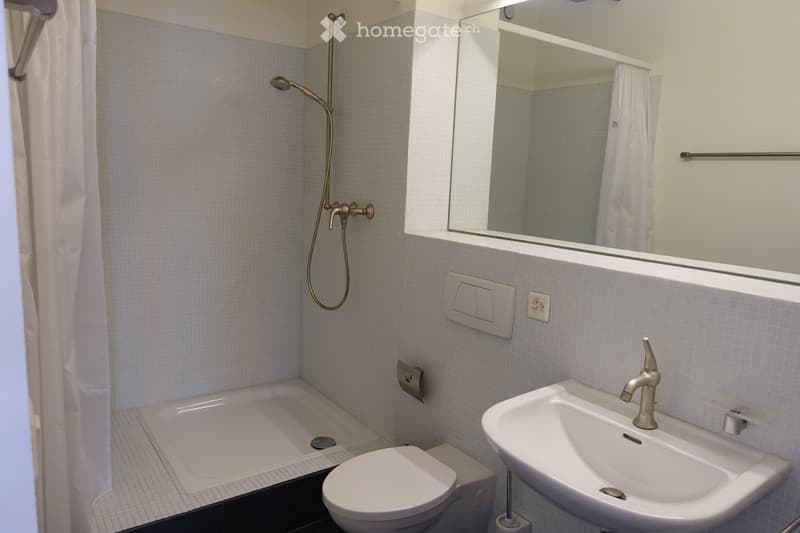 Bathroom with shower, sink, toilet, and mirror