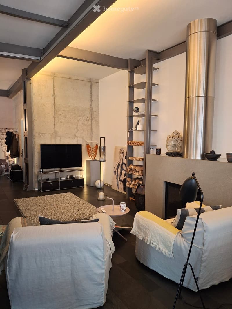 modern design, concrete wall, fireplace, flat screen TV, shelves, rug, couches, table, lamp