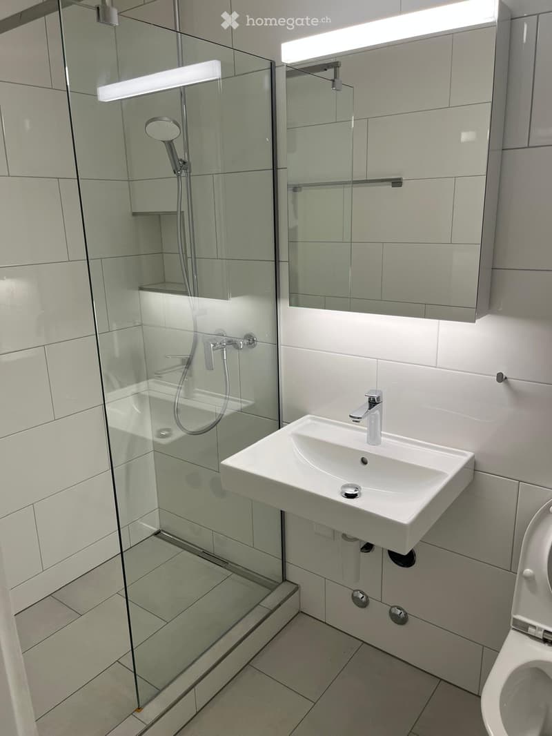 modern bathroom with glass shower, white sink, white toilet, white tiles, mirror, shower head