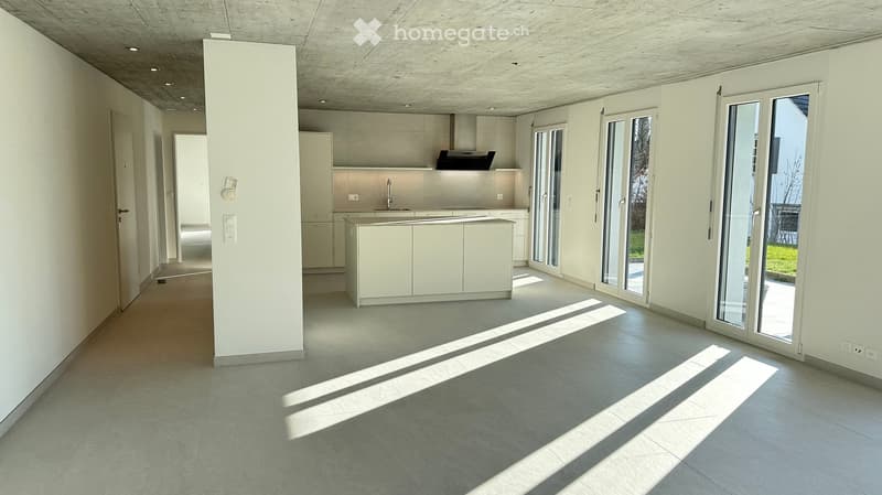 modern kitchen, white cabinets, granite countertops, stainless steel appliances, large windows, balcony