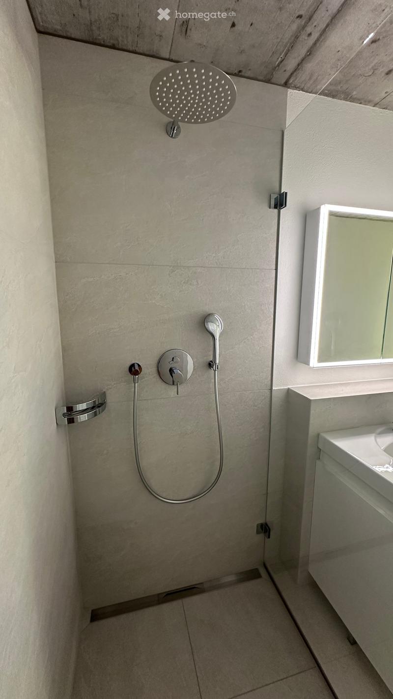 modern shower area with tiled walls, silver shower head, glass shower door, white sink, mirror