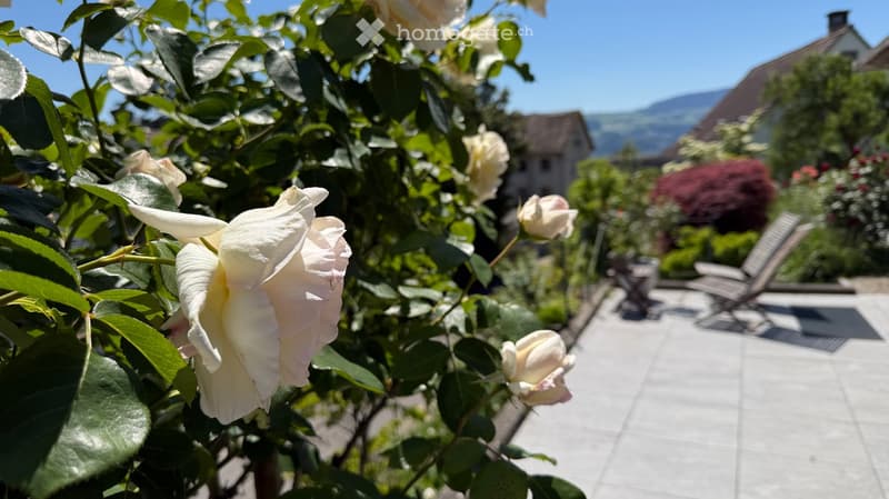 Garden with white roses, wooden deck, lounge chairs, and distant view of houses and mountains.