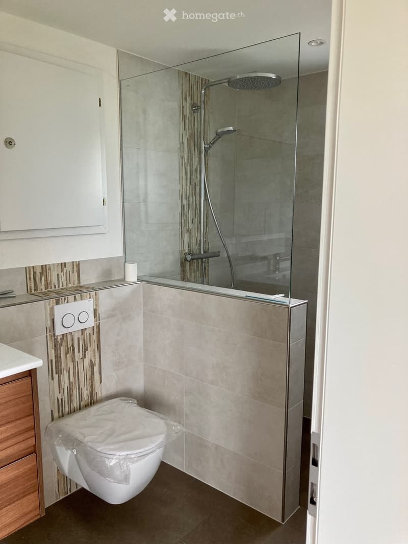 modern bathroom with glass shower enclosure, tiled walls, wooden cabinet, white toilet, white countertop