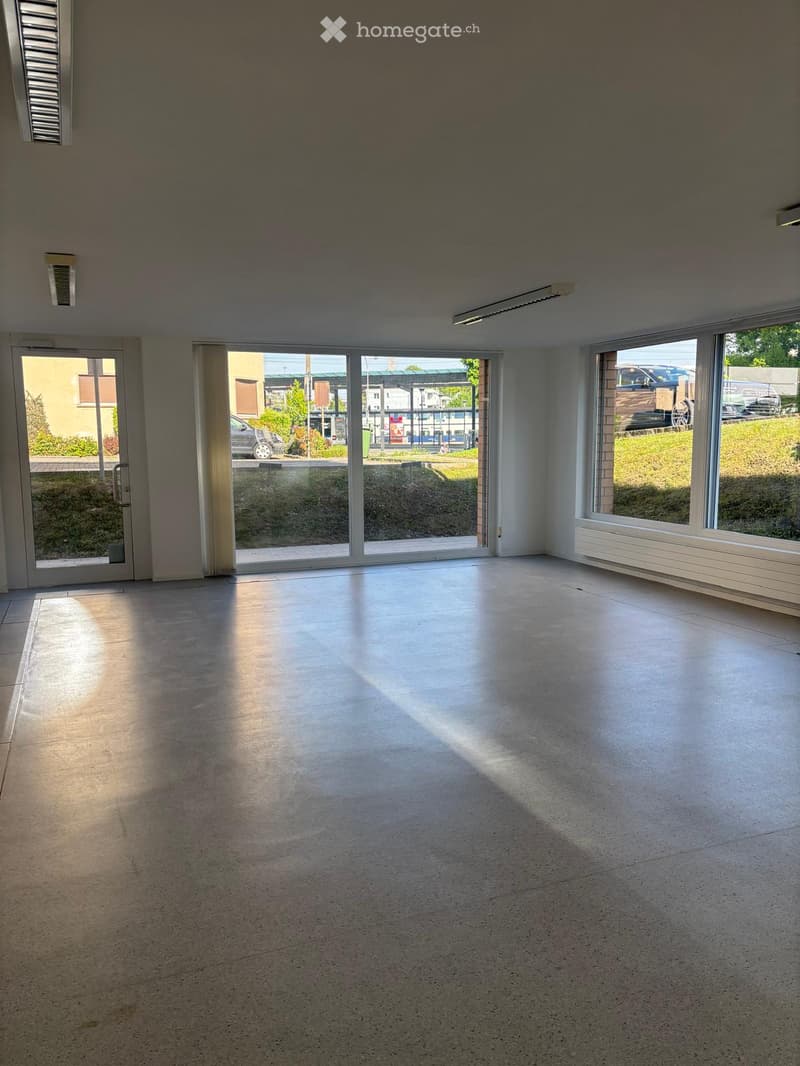 Unfurnished Room. An empty room with white walls, a white ceiling, and a concrete floor. There are three large glass doors on the left side, and two large windows on the right side. The room is illuminated by sunlight coming through the windows. Outside t
