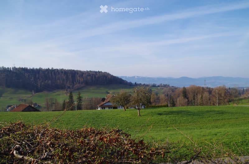 green field, house, trees, mountains in the background