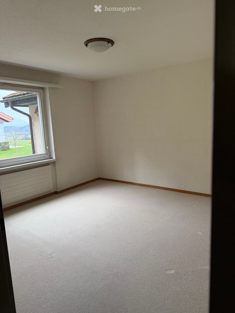 Charmantes 5.5-Zimmer-Doppeleinfamilienhaus an einmaliger Lage in Wald ZH (7)