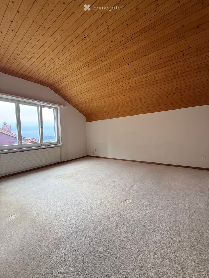 Charmantes 5.5-Zimmer-Doppeleinfamilienhaus an einmaliger Lage in Wald ZH (9)
