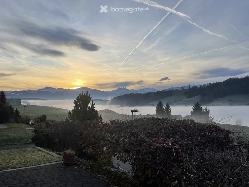 Mountain view, foggy morning, trees, plants, grass, pathway, building in distance