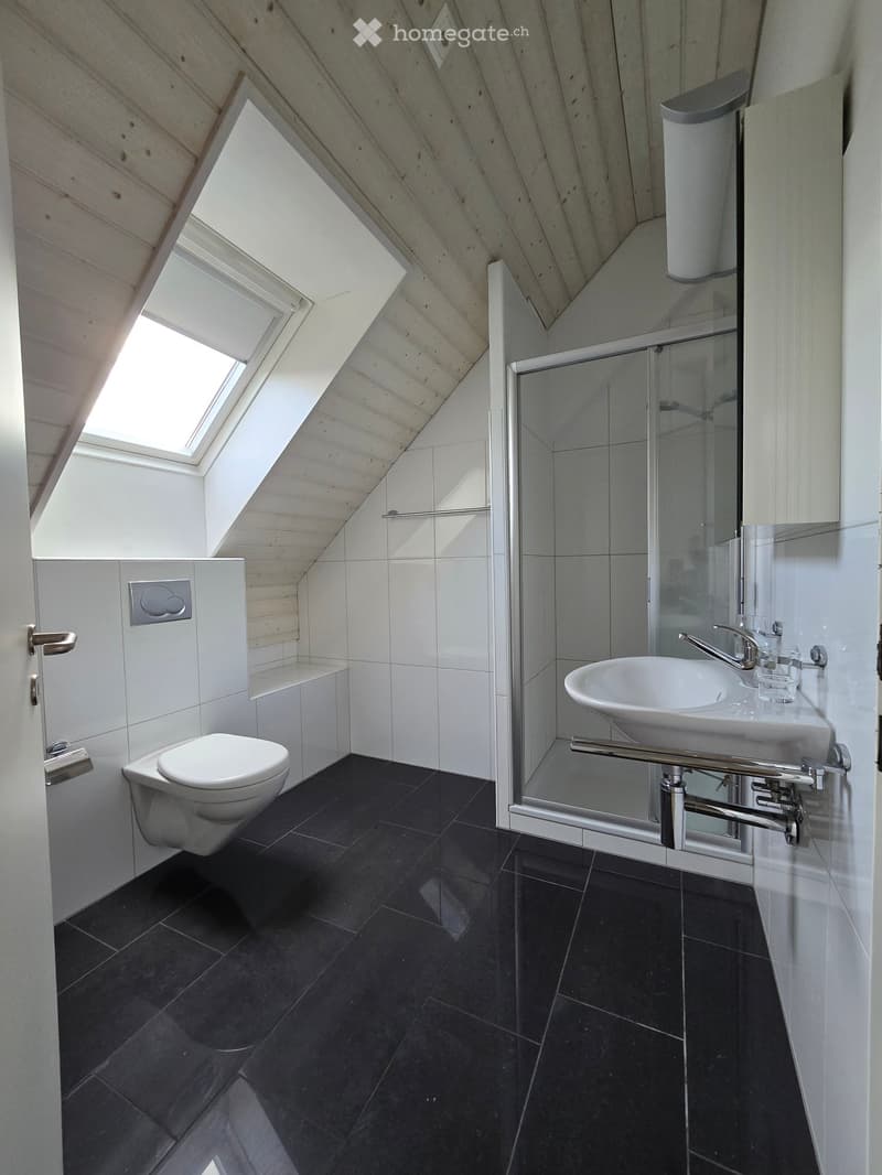 white tiled walls, black tiled floor, white toilet, white sink, glass shower enclosure, skylight window
