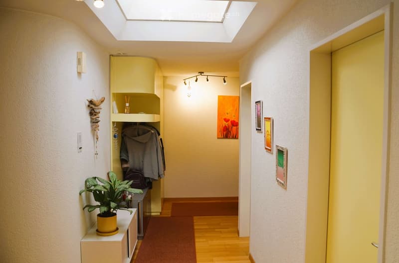 Corridor with a skylight, wooden floor, white walls, a potted plant, a closet with clothes, a painting on the wall, and a rug.