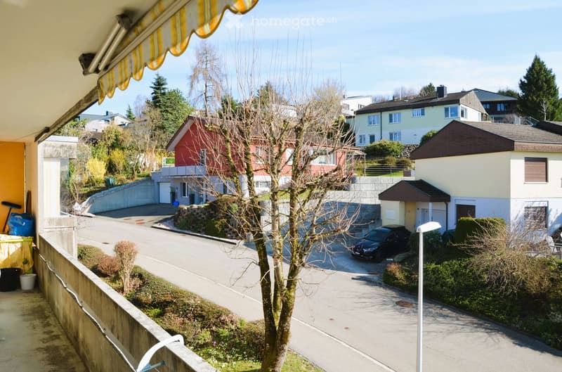 balcony with railing, street view, parked car, houses, trees, bushes, street light
