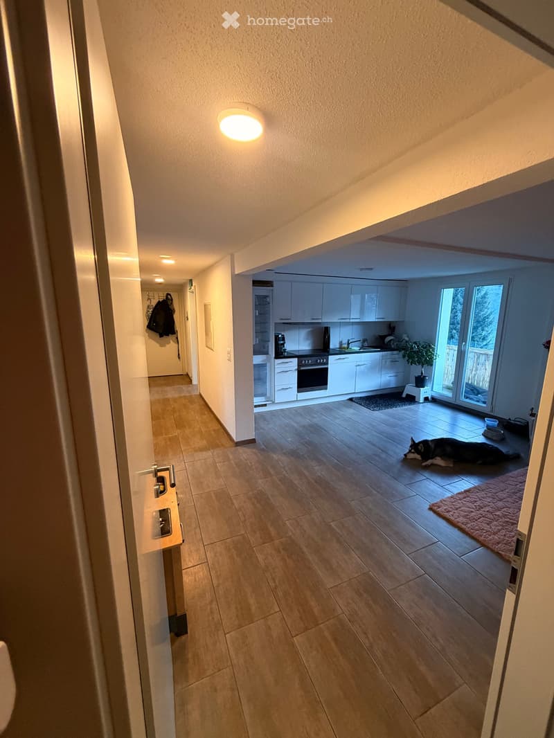 Open floor plan, kitchen with white cabinets, wooden floor, sliding glass door, dog lying on the floor