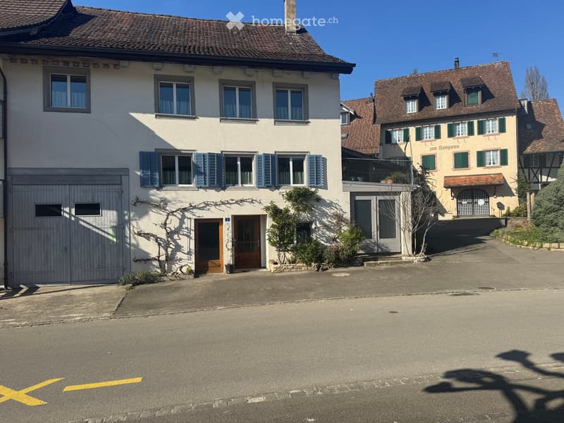 Two-story house with brown roof, white walls, blue shutters, wooden door, garage, plants, and a street in front.