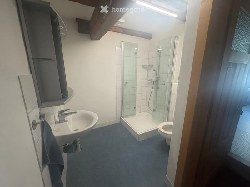 Bathroom with sink, shower, and toilet