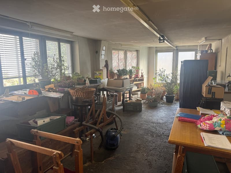 cluttered room with various items, including storage boxes, baskets, potted plants, and a vacuum cleaner
