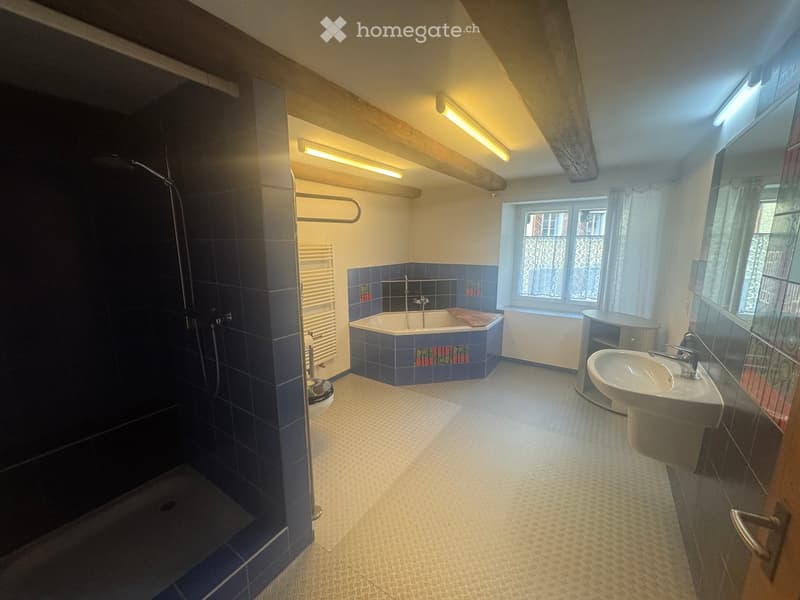 Bathroom with bathtub, shower, toilet, sink, and towel rack