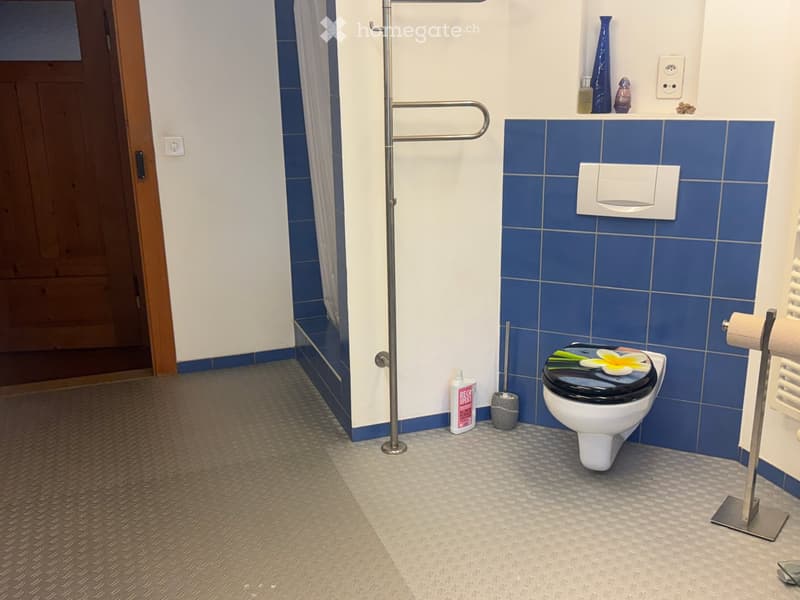 Bathroom with blue tiles, white toilet, metal towel rack, shower curtain, and a bottle of cleaning product.