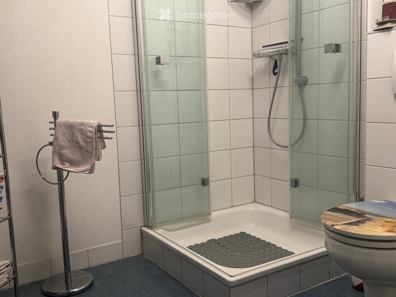 tiled walls, glass shower enclosure, shower head, towel rack, toilet, non-slip mat in shower