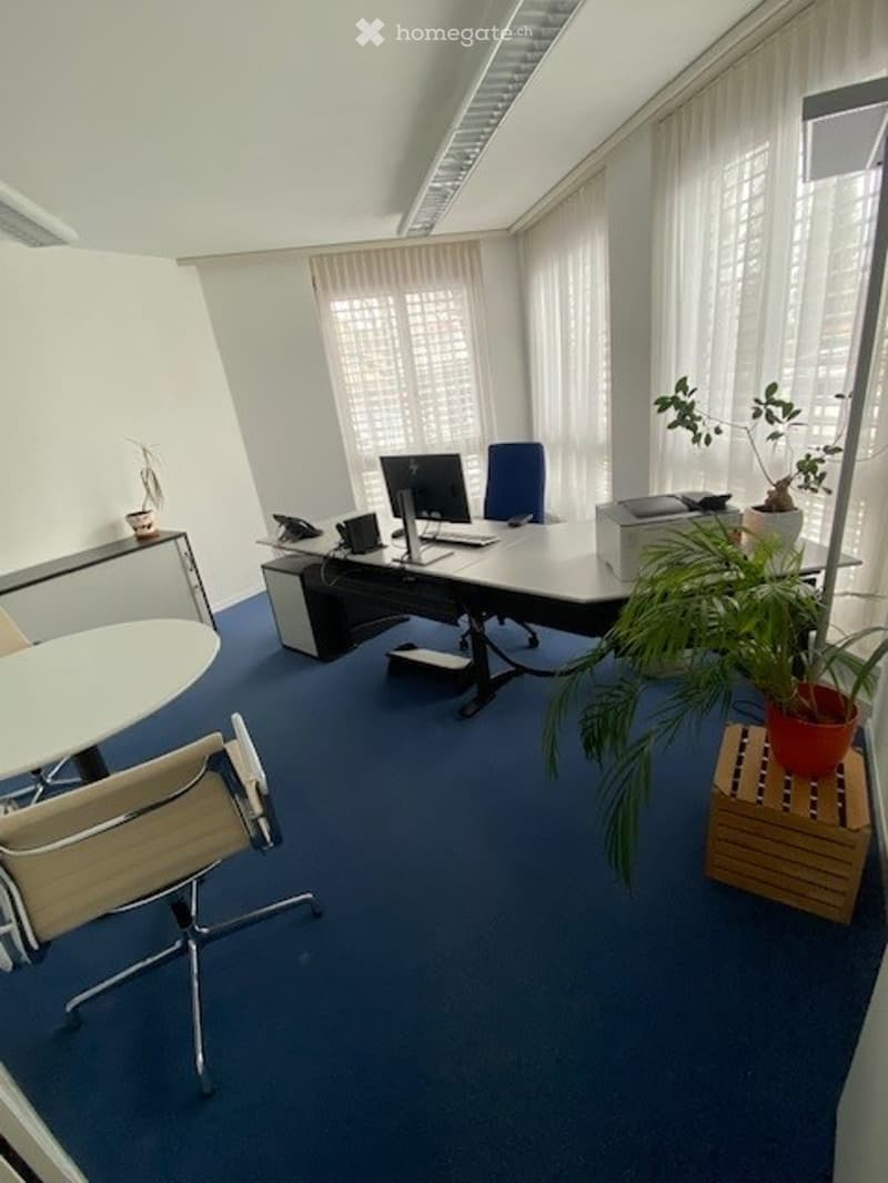 Office with desk, chairs, computer, printer, plants, and blue carpet