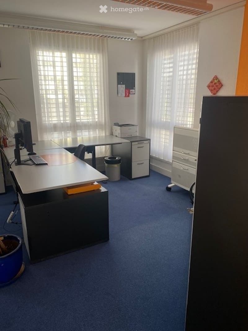 An empty office with desks, chairs, cabinets, and a trash bin. There are two monitors, keyboards, and mice on the desks. A potted plant is on the left side.