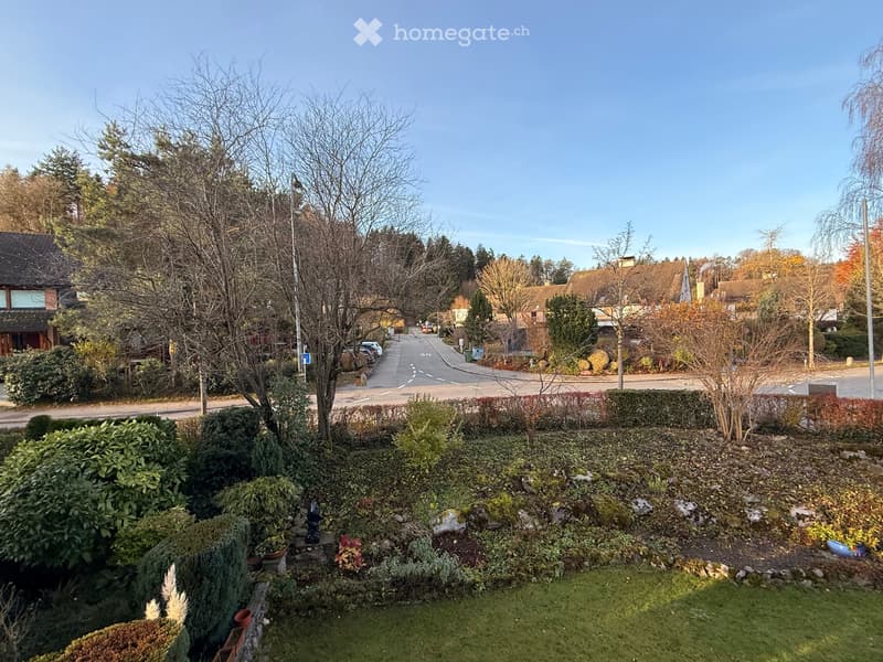 Helle & moderen 3.5-Zimmer-Wohnung mit Balkon und Hobby Raum mit Sauna in Ebmatingen (11)