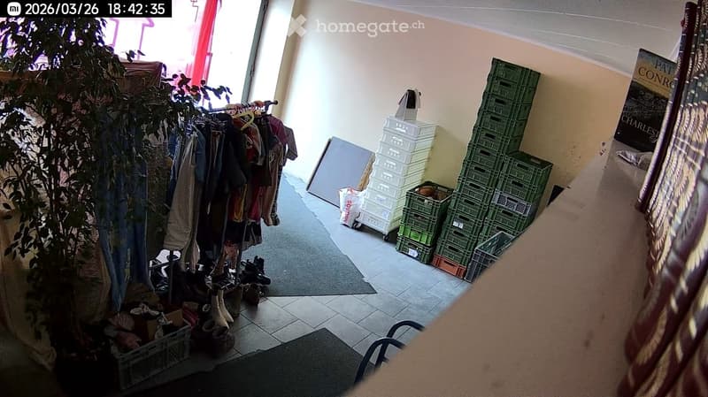 clothes rack, storage boxes, green crates, tiled floor, plant, carpet