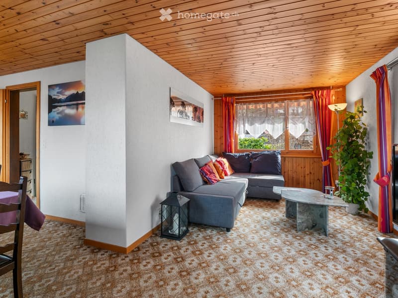 living room with couch, coffee table, lamp, carpet, picture frames, window with curtains, plant