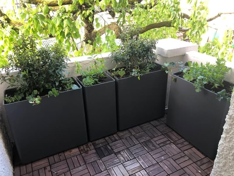 Terrace with four large black planters containing greenery