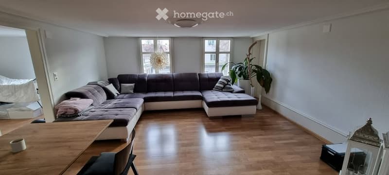 Wooden floor, modern sectional sofa, wooden table, decorative plant
