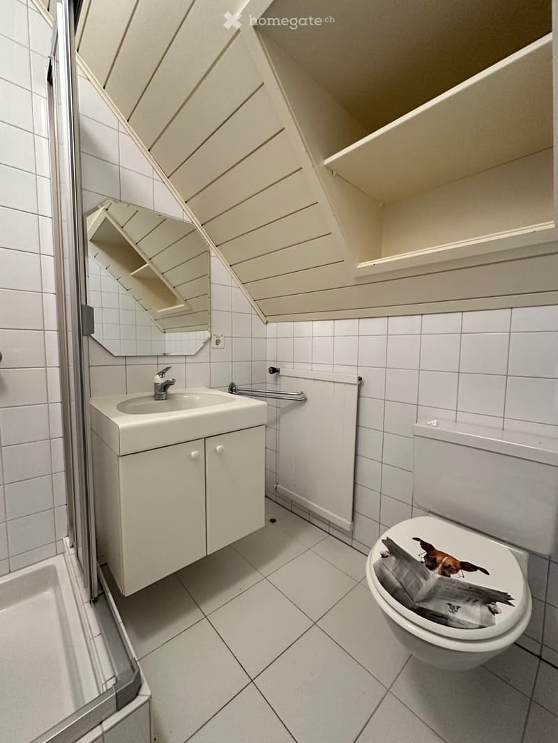 white tiled walls, white sink, mirror, shower, toilet, towel rack