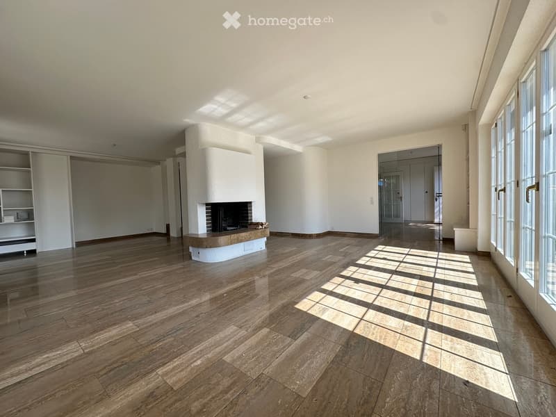 large room, fireplace, wooden floor, white walls, large windows