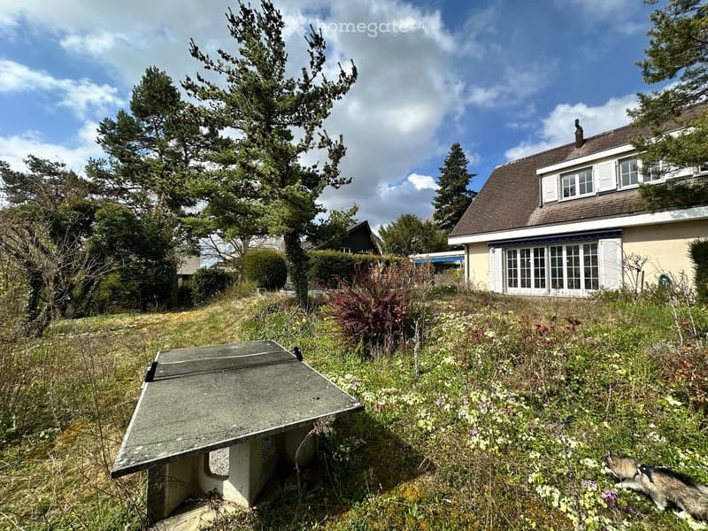 A grassy area with a table tennis table, surrounded by trees and plants, with a house in the background.