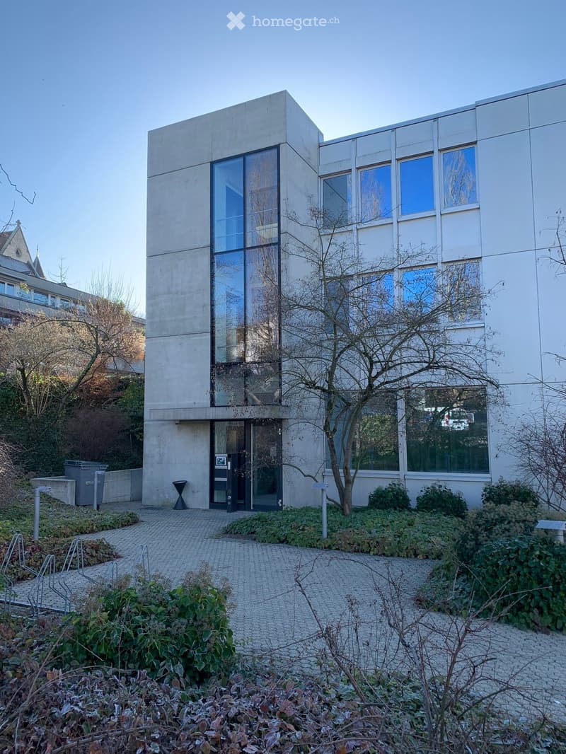 Modern building with glass windows, concrete walls, entrance with glass doors, small garden with plants and trees, paved pathway