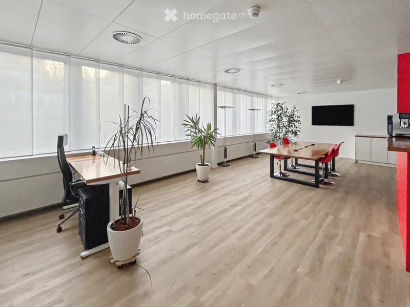 modern office room, wooden floor, white walls, large windows, office desk, office chair, potted plants, table, chairs, television