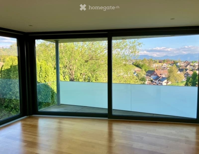 large windows, balcony, wooden floor, view of the city