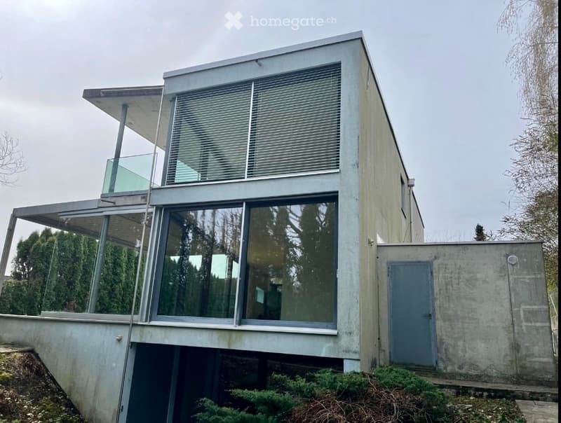 modern house, concrete walls, glass windows, glass balcony, entrance door