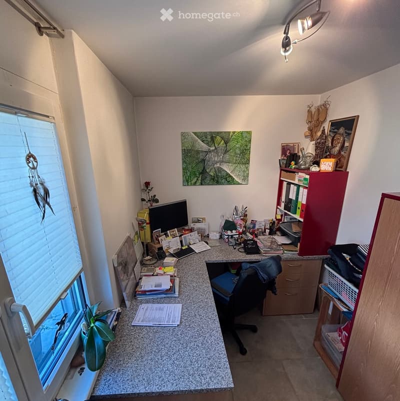 A room equipped as an office with desk, computer, office chair, small storage room with shelves, a small potted plant and a window
