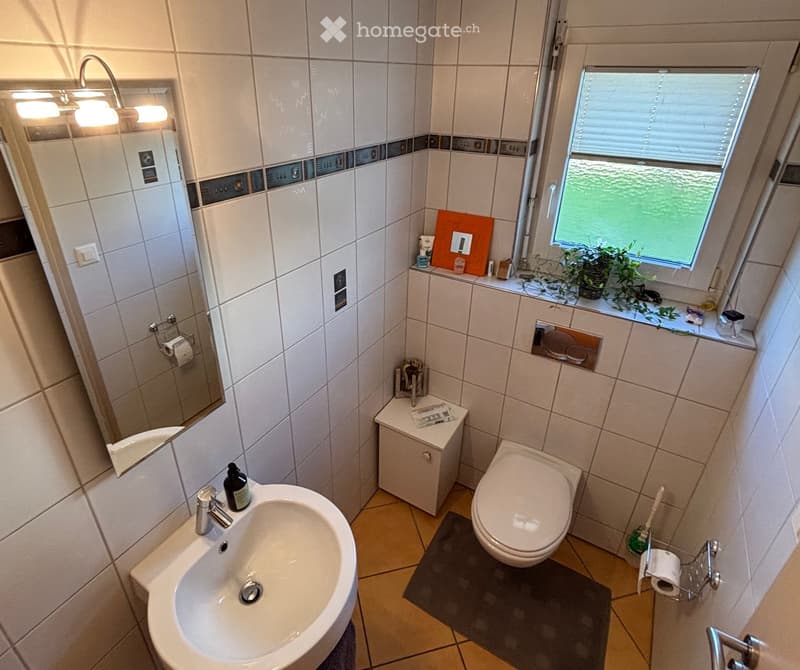 white tiled walls, sink, toilet, mirror, shelf, rug, plant, toilet paper holder
