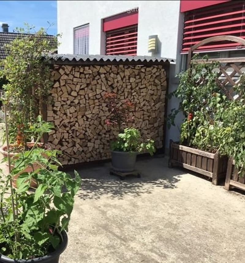 Potted plants, shrubs, garden wall made of stacked wood logs, wall with red shutters, paved floor