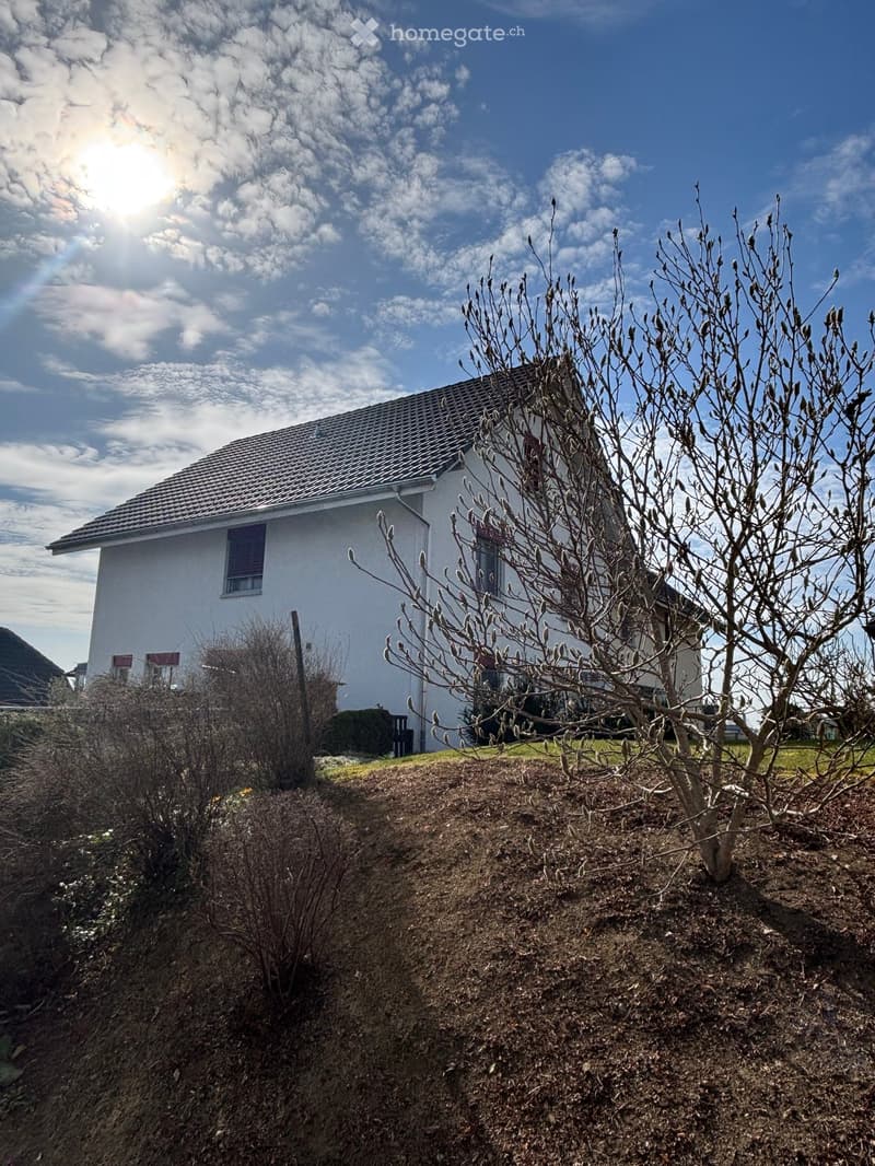 white 2 story house, tiled roof, raised ground floor, chimney, on hill, with bushes and small tree