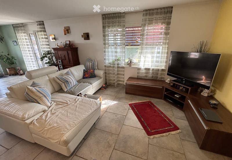 Living room with white couch, pillows, red rug, TV, wooden cabinet, potted plants.