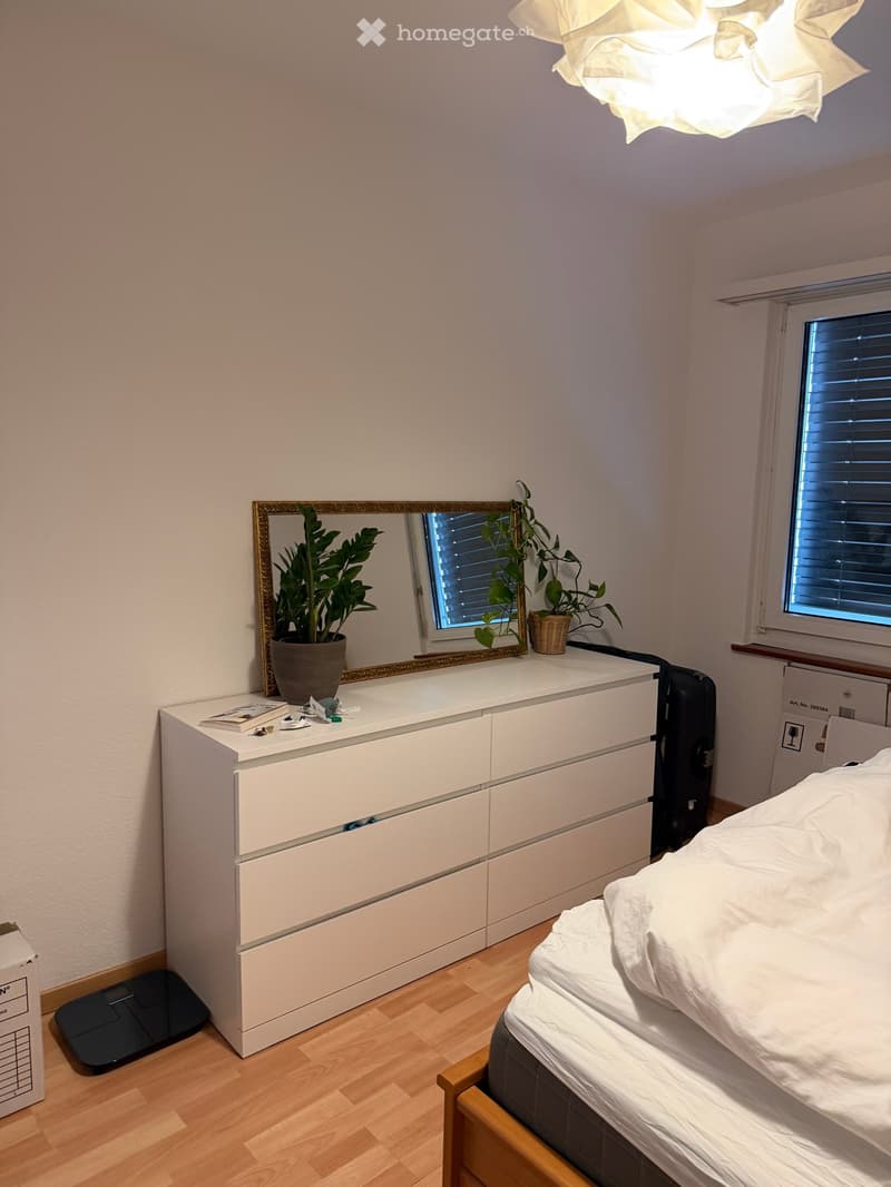 Bedroom with white dresser, mirror, plants, bed, suitcase, scale, and ceiling lamp