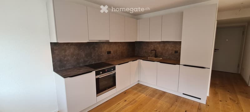 modern kitchen with white cabinets, wooden floor, integrated oven and dishwasher, granite countertop, stainless steel sink