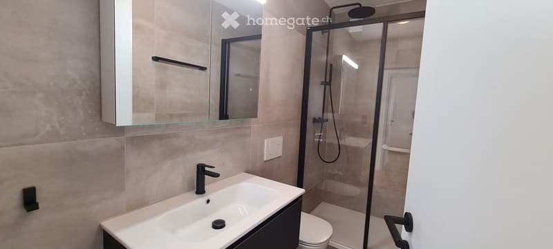 modern bathroom with white sink, black faucet, mirror, glass shower enclosure, toilet